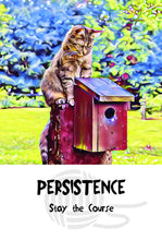 Cosmic Cat Wisdom Cards