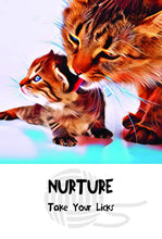 Cosmic Cat Wisdom Cards