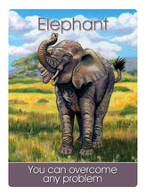 Children's Spirit Animal Cards: 24 Cards and 92 Page Author's Guidebook