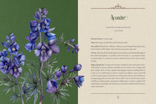 Enchanted Plants: A Treasury of Botanical Folklore and Magic