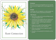 An Invitation to Forest Bathing: 52 Full-Color Activity Cards to Find Yourself in Nature