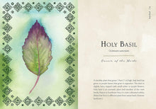 Wild Medicine: An Illustrated Guide to the Magick of Herbs