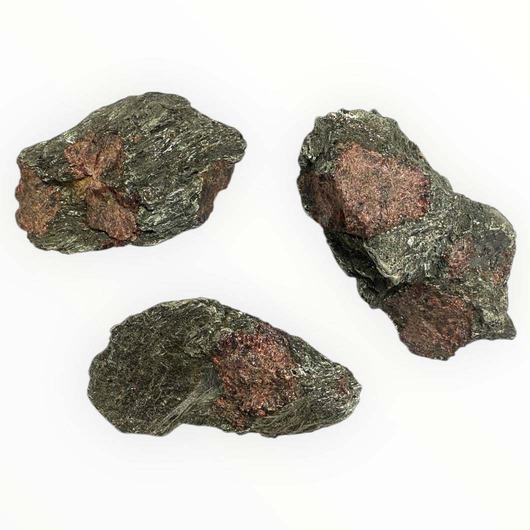 Garnet in Schist Matrix