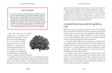 The World of Italian Folk Magic: Magic and herbal cures from the wise woman of Italy