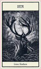 Untamed Spirit Animal Oracle