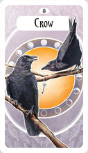 The Avian Oracle