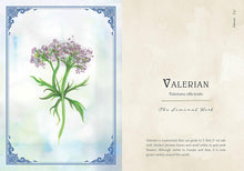 Wild Medicine: An Illustrated Guide to the Magick of Herbs