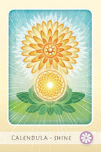 The Herbal Healing Deck
