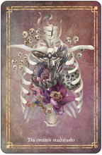 Memento Mori: 36 Mini Affirmation Cards To Embrace Life