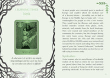Wise Woman Oracle: Reconnect with She Who Knows