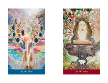 Dream Wisdom Oracle: 46 Cards and Guidebook