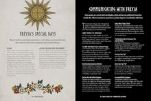 Freyja: An Illustrated Guide to the Goddess of Magic, Love and War