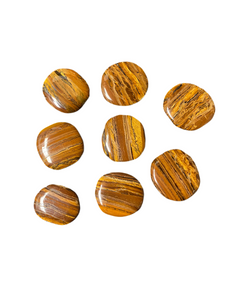 Tiger Eye Medallion
