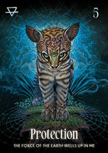 Shamanic Oracle: Connect to the Medicine of the Earth
