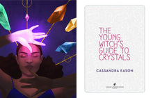 The Young Witch's Guide to Crystals (Volume 1)