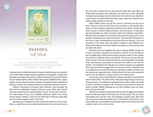 The Herbal Healing Deck