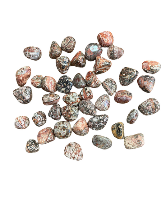 Leopard Skin Jasper