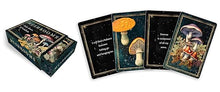 Mushrooms: Daily Doses of Wisdom