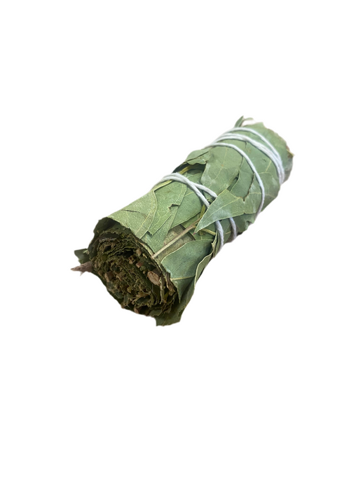 Eucalyptus Bundle