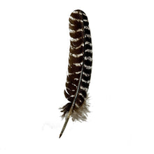 Genuine Turkey Quill Basic Ballpoint Pens