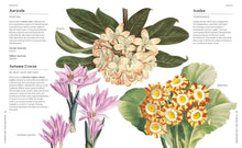 Flowers and Their Meanings: The Secret Language and History of Over 600 Blooms (A Flower Dictionary)