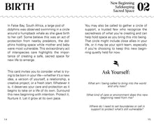 Kindred Fin: An Oracle Deck from the Whales and Dolphins