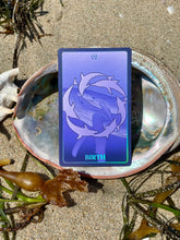 Kindred Fin: An Oracle Deck from the Whales and Dolphins