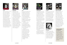Loki: An Illustrated Guide to the Trickster God