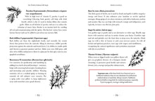 The World of Italian Folk Magic: Magic and herbal cures from the wise woman of Italy