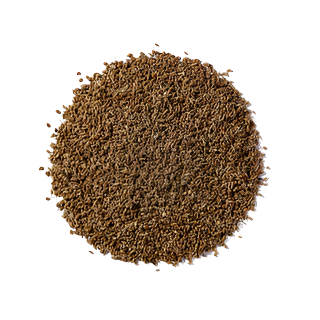 Anise Seed