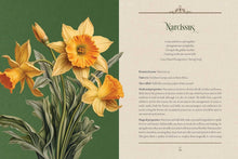 Enchanted Plants: A Treasury of Botanical Folklore and Magic