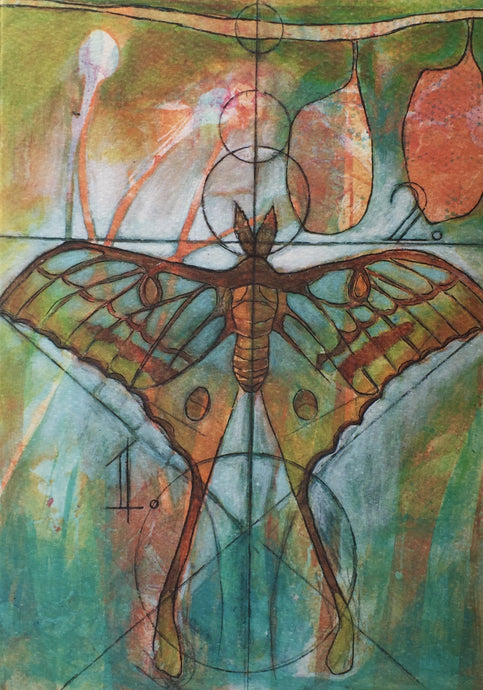 “Equipoise” Turquoise Luna Moth Single Art Notecard