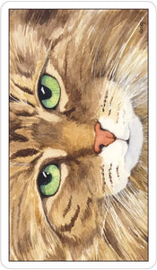 Cat's Eye Tarot