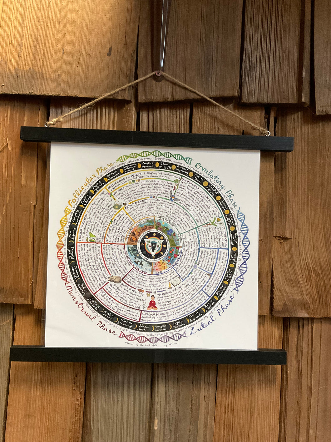 Menstrual Cycle Syncing Guide | Wheel of the Womb Art Prints