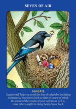 Animal Guides Tarot