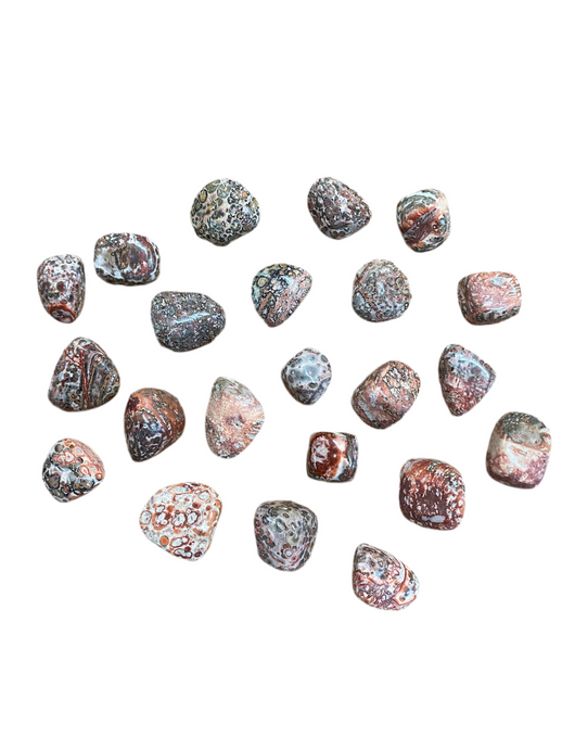 Leopard Skin Jasper