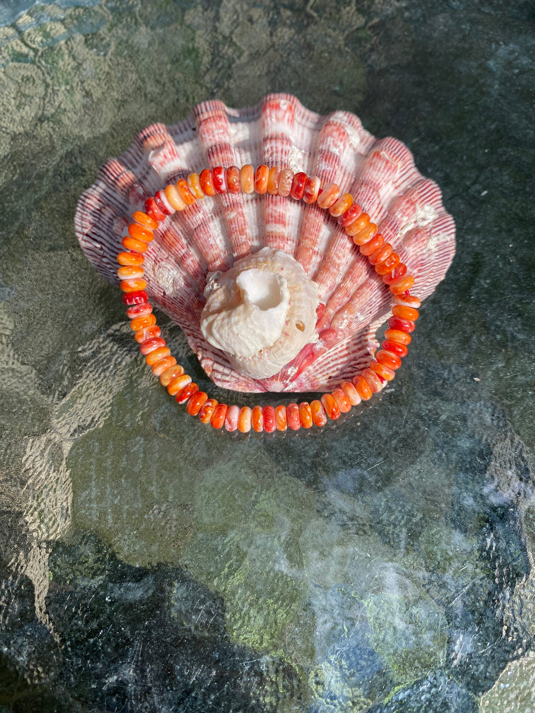 Spiny Oyster Bracelet