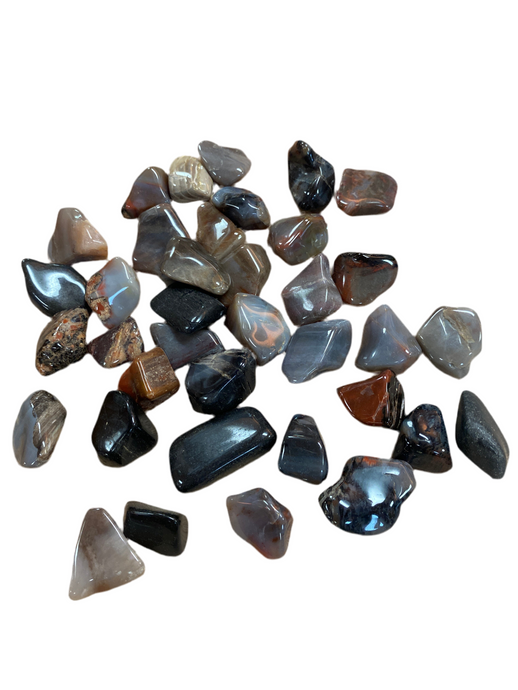 Petrified Wood
