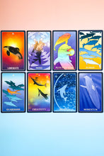 Kindred Fin: An Oracle Deck from the Whales and Dolphins