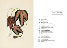 A Practical Guide to Magic in Nature