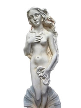 Aphrodite Anadyomene