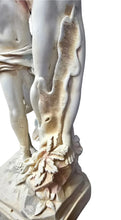Apollo and Daphne-Transformation