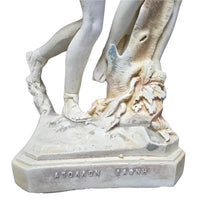 Apollo and Daphne-Transformation