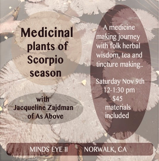 Medicinal Plants of Scorpio Season