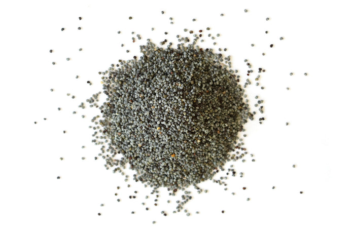 Poppy Seed (Papaver Somniferum )