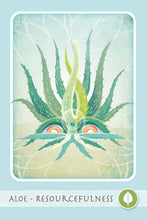 The Herbal Healing Deck