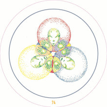 Transparent Oracle: Oracle Kit with 77 Cards and Guide Book
