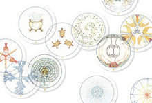 Transparent Oracle: Oracle Kit with 77 Cards and Guide Book