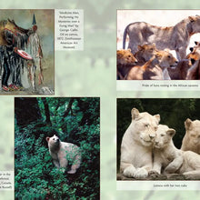 White Spirit Animals: Prophets of Change