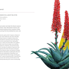 Healing Guide To Flower Essences